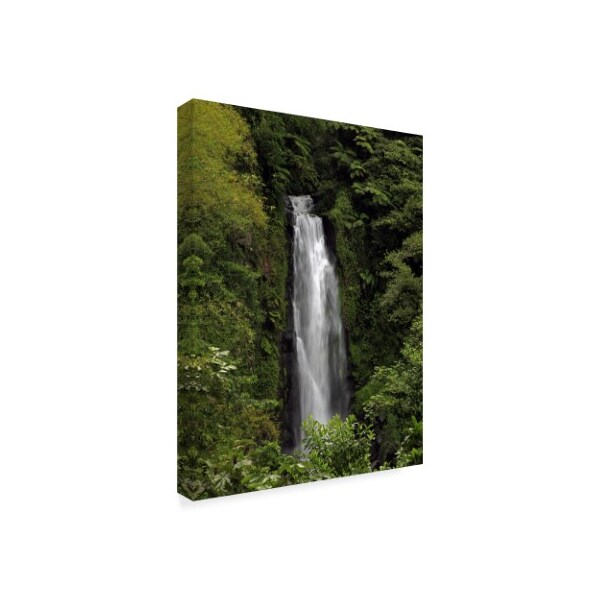 J.D. Mcfarlan 'Jungle Falls' Canvas Art,35x47